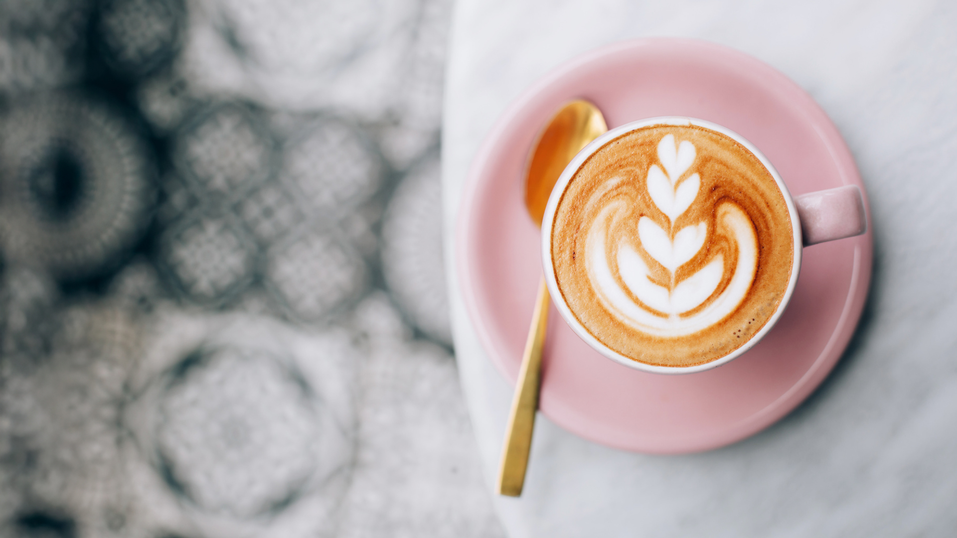 Freshly roasted coffee beans and premium coffee equipment at Nook Cafe - A Taste You'll Remember